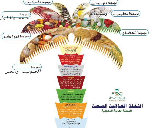 النخلة الغذائية